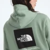 Damen-Hoodie Evolution Box NSE Regular