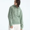Damen-Hoodie Evolution Box NSE Regular