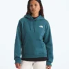 Damen-Hoodie Evolution Box NSE Regular