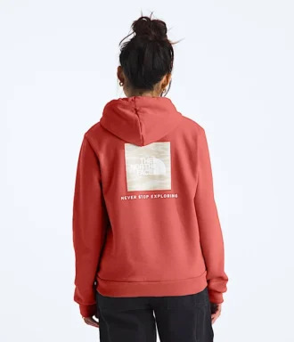 Evolution Box NSE Fill Light Hoodie für Damen – Grafik