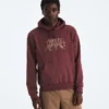 Herren Evolution TNF™ Bear Hoodie – Grafik