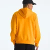 Herren-Hoodie Evolution BTS – Grafik