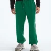 Herren TNF™ Essential Simple Dome Relaxed Pants