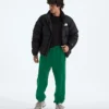 Herren TNF™ Essential Simple Dome Relaxed Pants
