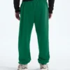 Herren TNF™ Essential Simple Dome Relaxed Pants