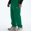 Herren TNF™ Essential Simple Dome Relaxed Pants