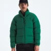 Herrenjacke 1996 Retro Nuptse DTM
