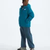North Daunenjacke mit Kapuze für Jungen