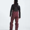 Summit Series Verbier GORE-TEX® Latzhose für Herren