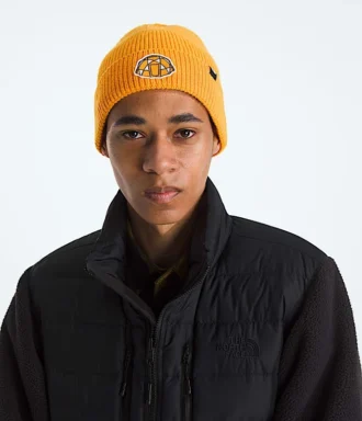 TNF™ Logo Box Cuffed Beanie