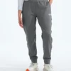 TNF™ Performance Fleece SW Hose für Damen