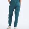 TNF™ Performance Fleece SW Hose für Damen