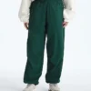 TNF™ Red Box Packable Wind Pants für Herren
