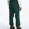 TNF™ Red Box Packable Wind Pants für Herren