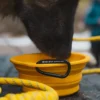TNF™ Zusammenklappbare Haustier-Schüssel